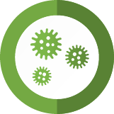 Speedy Mold Inspections