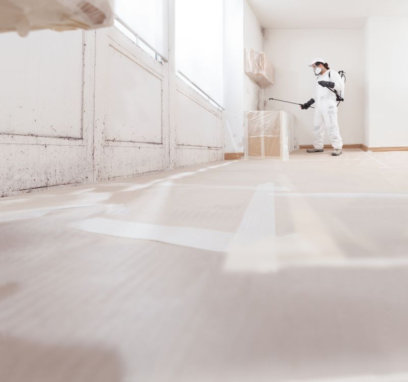 White Mold Mitigation in Boca Raton, FL