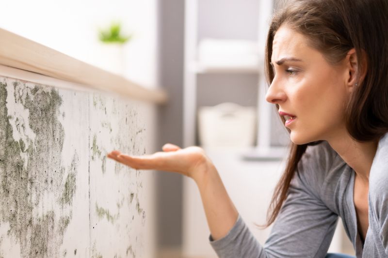 Mold Inspection