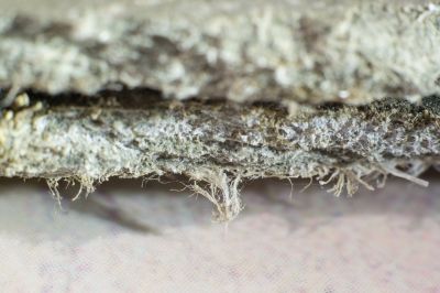 Asbestos Abatement in Monmouth County, NJ