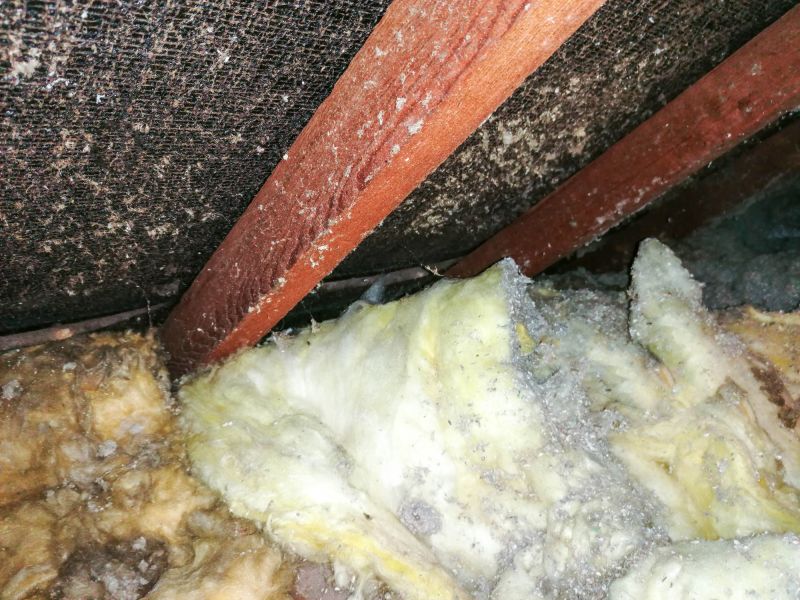 Basement Asbestos Removal in Essex County, NJ