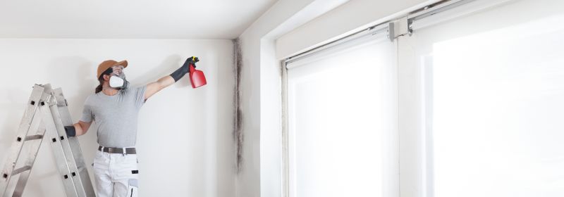 Black Mold Remediation in Bergen County, NJ