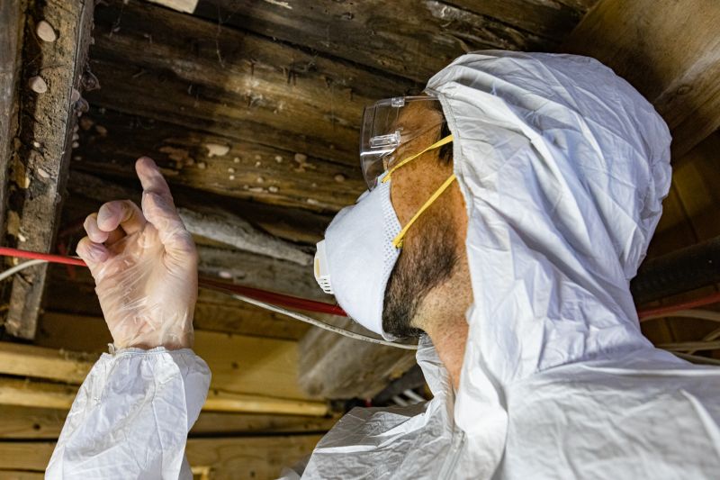 Mold Inspection Cost Overview — Cost of Mold Inspection