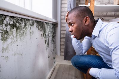 Mold Inspection Cost Overview — Cost of Mold Inspection