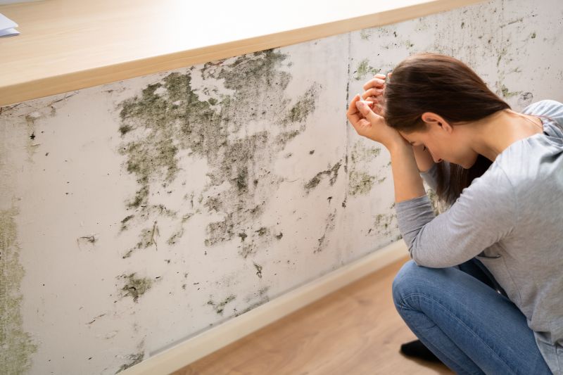 Mold Detection in Plano, TX