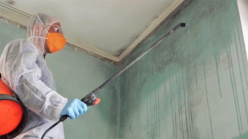 Mold Remediation Service in West Palm Beach, FL