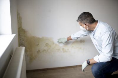 Mold-affected Area