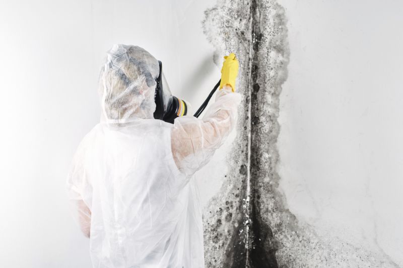 Mold Inspection and Removal Team