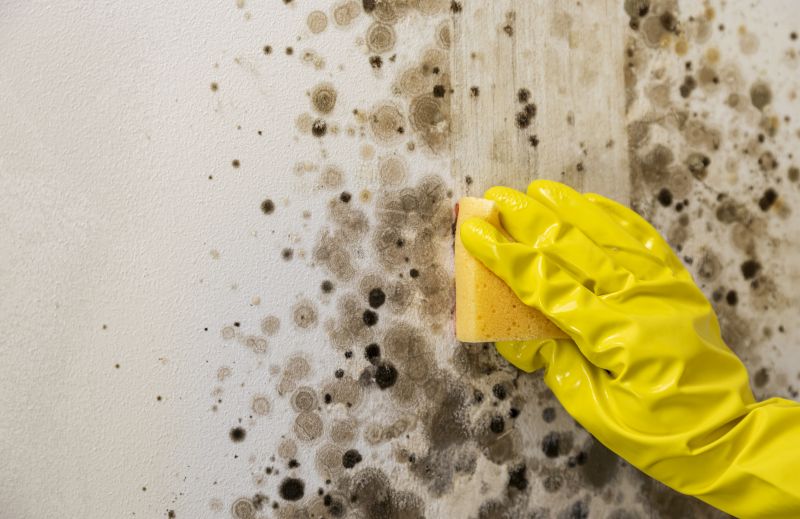 Mold Restoration in Bergen County, NJ
