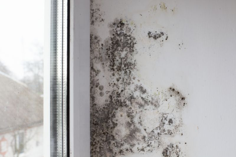 Mold Restoration in Dallas, TX