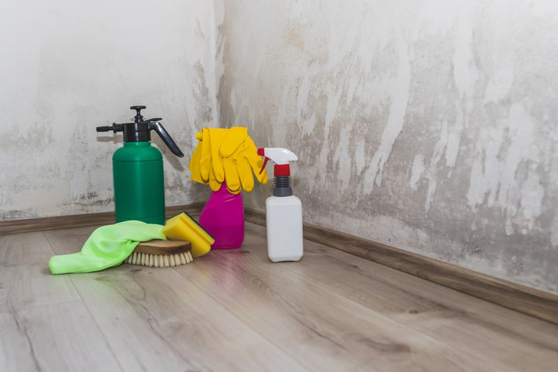 Mold Restoration in Broward County, FL