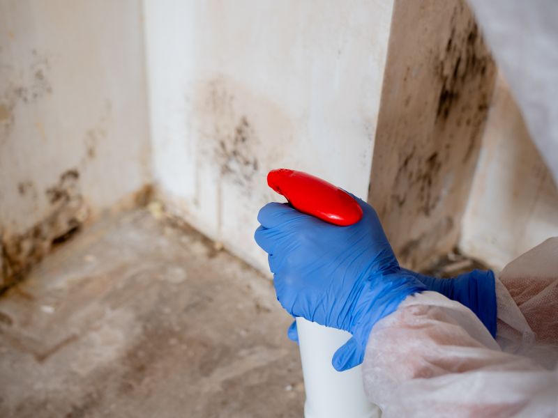 Mold Treatment Service in Bergen County, NJ
