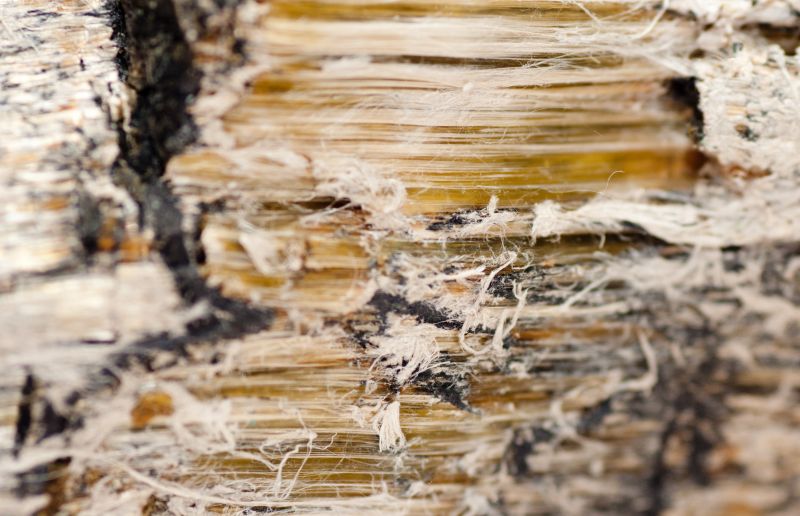 Vermiculite Removal Service in Monmouth County, NJ