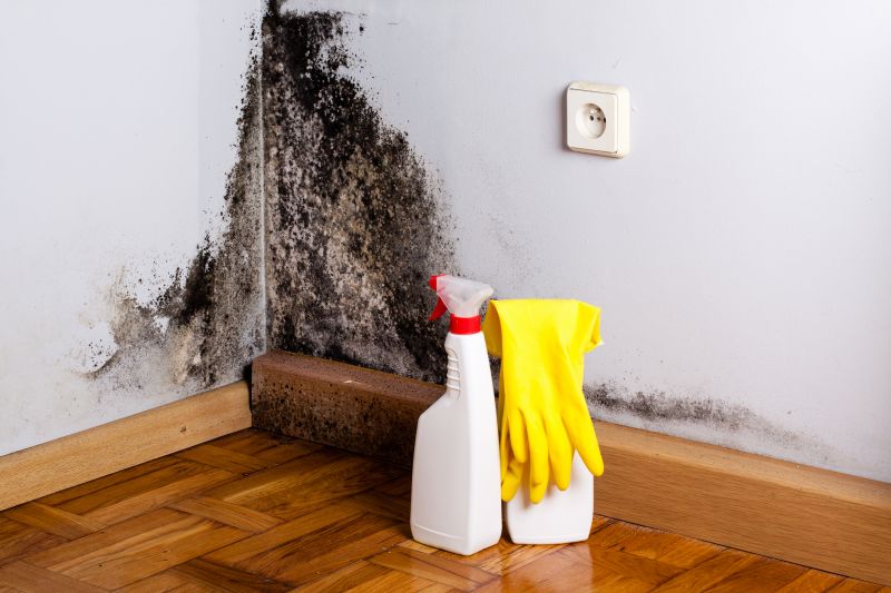 White Mold Mitigation in Frisco, TX
