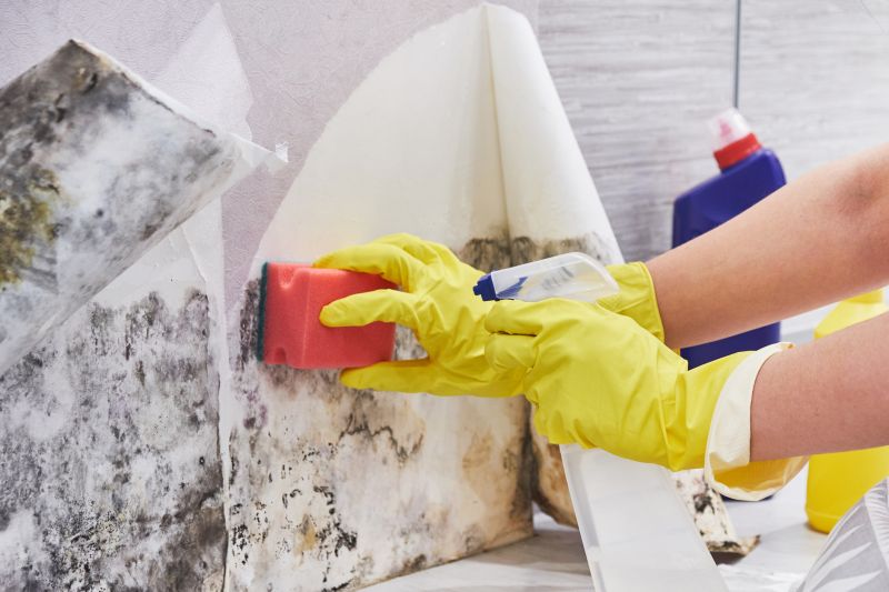 White Mold Mitigation in Bergen County, NJ