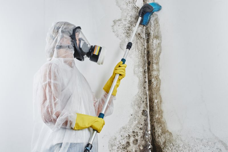 White Mold Mitigation in Boca Raton, FL
